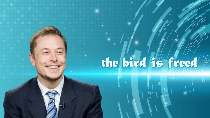 the-bird-is-freed